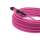 Cabo MPO para MPO Fêmea 40m, 12 Fibras OM4 G651.1 50/1 25 Multimodo, Tipo B LSZH Magenta - INSTRUFIBER